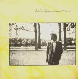 David Sylvian - Discografía completa álbumes